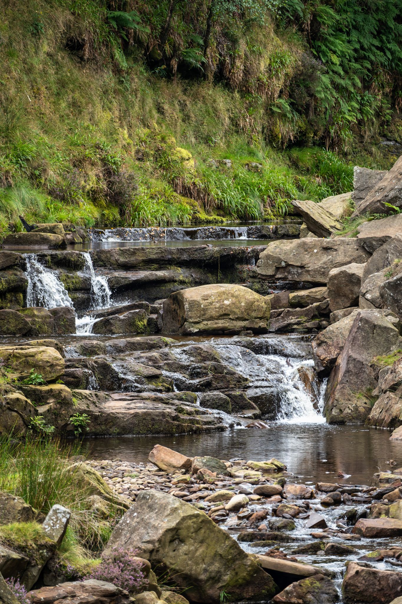 Wanderung in den Hope Woodslands